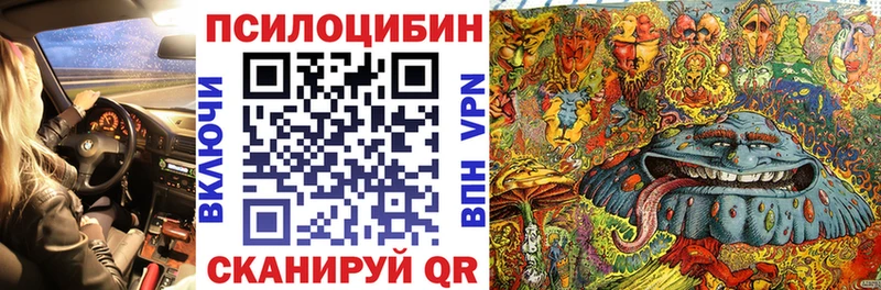что такое наркотик  Элиста  Галлюциногенные грибы мицелий 